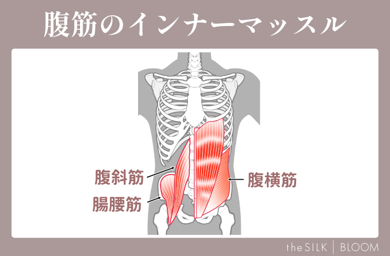 腹筋のインナーマッスル