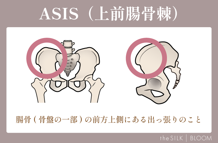 ASIS(上前腸骨棘)の画像