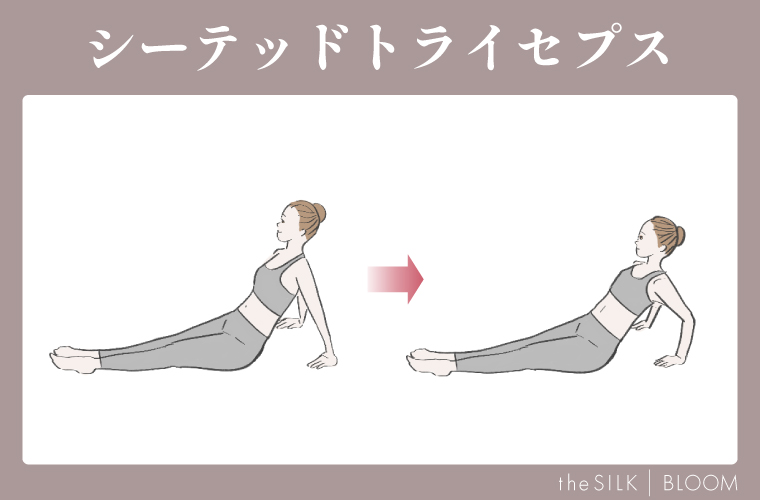 シーテッドトライセプス