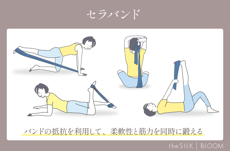 セラバンドの画像