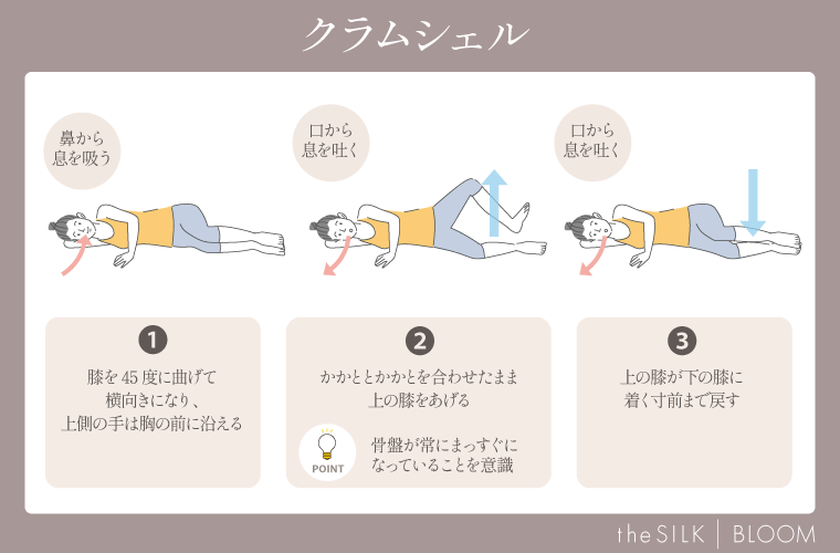 クラムシェルの画像