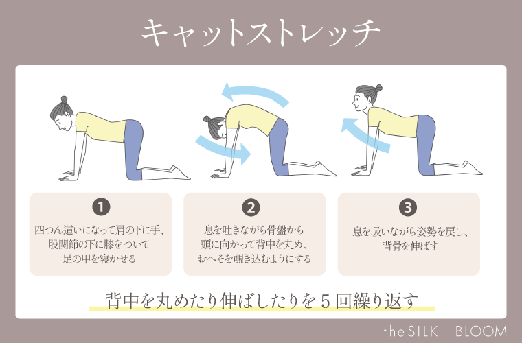 キャットストレッチの画像