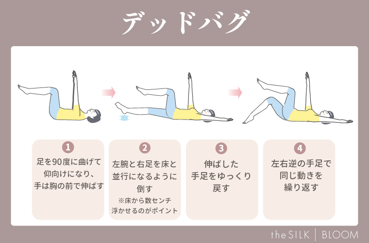 デッドバグの画像