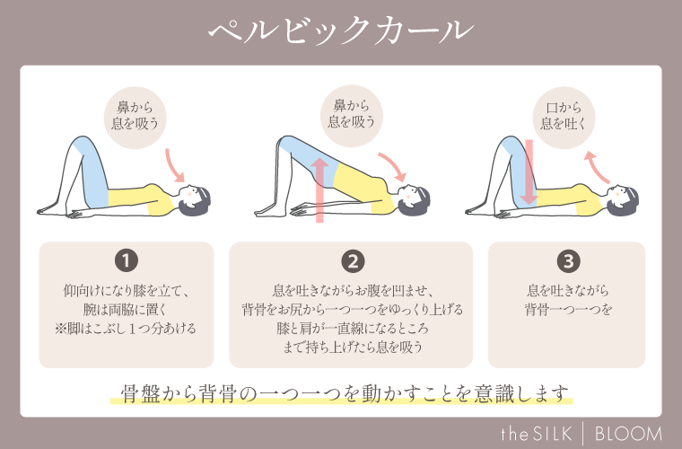 ペルビックカールの画像