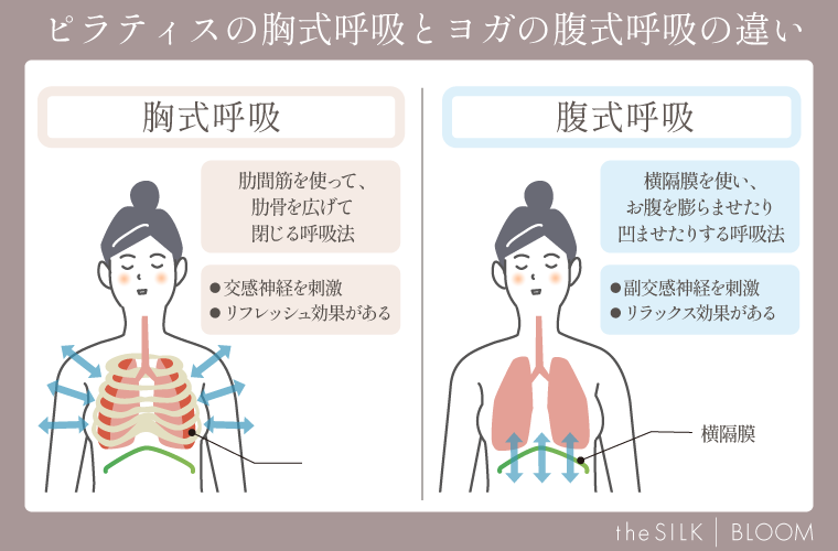 ピラティスの胸式呼吸とヨガの腹式呼吸の違い